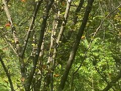 -昆明冠生园·蛋糕·面包(南强街店)