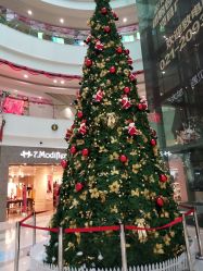 -巴黎时尚婚纱摄影(南汇店)