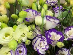 -大清花饺子馆(家乐福店)