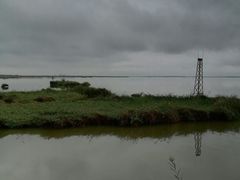 -哈素海