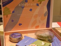 -代数学家algebraist(苏州中心店)