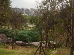 -飞凤山奥体公园