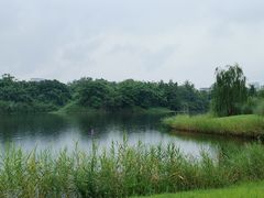 -眉山湿地公园(东坡区)