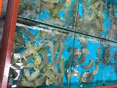 -开禾52阿伟海鲜加工