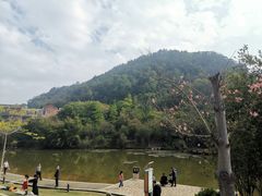 -神光山国家森林公园