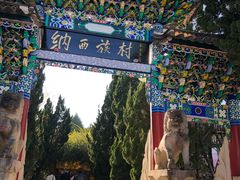 -云南民族村