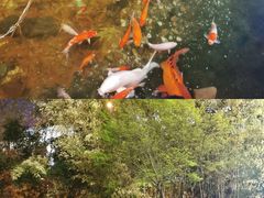 -聚缘堂·海鲜私房菜(松岭路店)