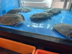 -肥仔顺德菜(龙悦居店)