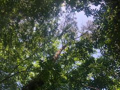 -溪口-滕头旅游景区