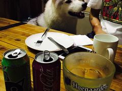 -百好乐宠物友好餐厅(朝外大街店)