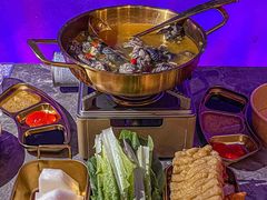 -Darling Queen·Mini·Live·House