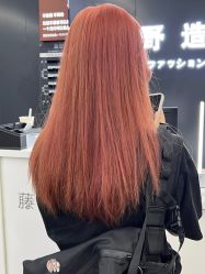-藤野造型