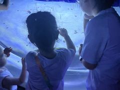 -江和美海洋公园