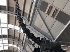 -奥黑尔国际机场