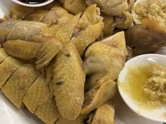 -渔鸽皇酒楼(鸿大广场店)