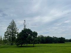 -良渚古城遗址公园