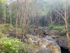 -云岫谷自然风景区