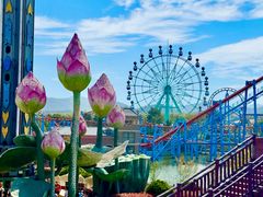 -南京银杏湖乐园