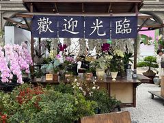 -顺峰山公园