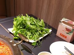 -蜀九香火锅(彩虹店)