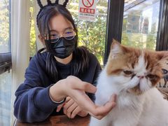 -猫小院猫主题咖啡厅(北锣店)