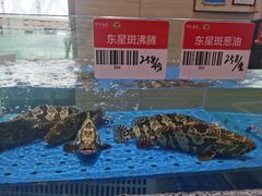 -阿毛饭店·宁波老字号(儿童公园旗舰店)