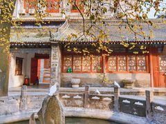 -西安大兴善寺