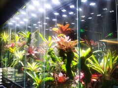 -扶摇湘宴·烤鸭·湘粤宴(中关村·北大店)