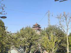 -莲花池公园