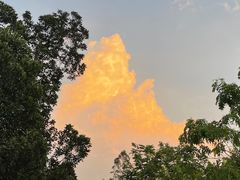 -火炉山森林公园