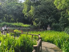 -成都市活水公园