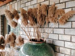 -乌托邦轰趴日租聚会别墅(先生的院子店)