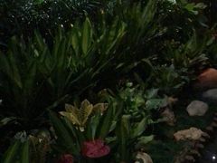 -素可汤泉(天宝大厦店)