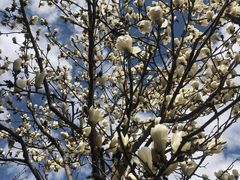 -青峰峡国家森林公园