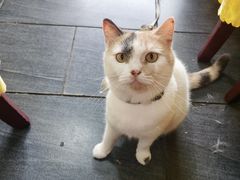 -厦门客湘来湘菜馆(明发商业广场店)