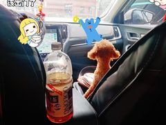 -喜狗宠物生活馆(岳州路店)