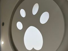 -纳吉亚猫专科动物诊疗中心(蒋宅口分院)