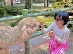 -贵州森林野生动物园