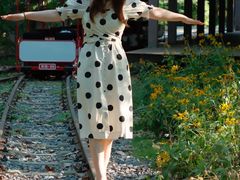 -合肥滨湖国家森林公园