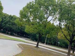 -胜华驾校·小猫学车(银都店)