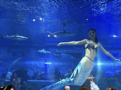 -成都浩海立方海洋公园