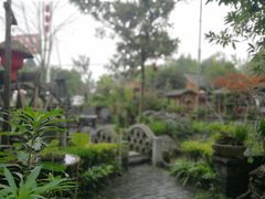 -青城甲(青城山店)