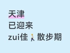 -必点海鲜·海肠捞饭(滨江道一店)