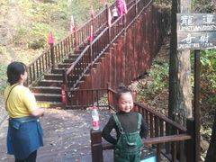 -天女山森林公园
