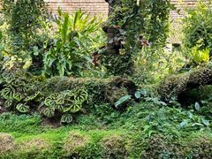-深圳仙湖植物园