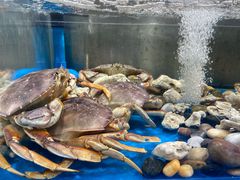 -盒马鲜生(公园1903店)