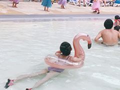 -杭州开元森泊度假乐园