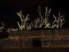 -长春世界雕塑园冰雪艺术天地