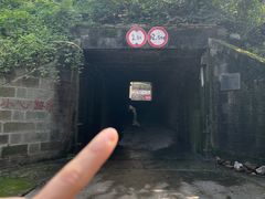 -南山植物园