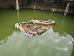 -南昌动物园